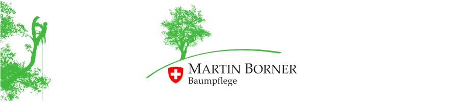 Borner Baumpflege Banner