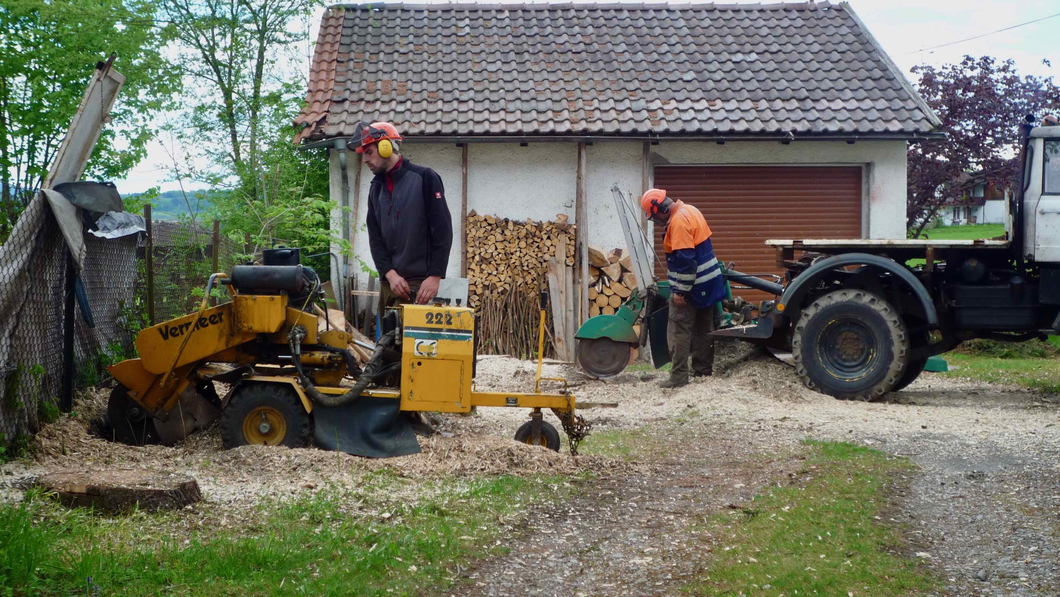 Martin beim Baumfaellen